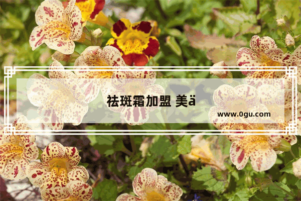 祛斑霜加盟 美丽事业的新起点