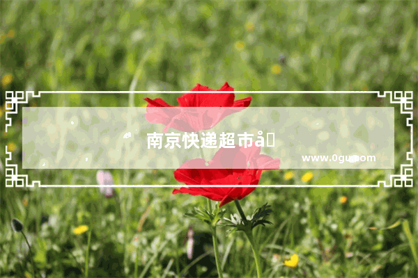 南京快递超市加盟指南