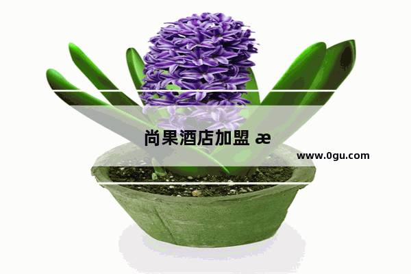 尚果酒店加盟 智慧之选的明智选择