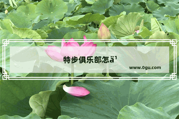 特步俱乐部怎么加盟？