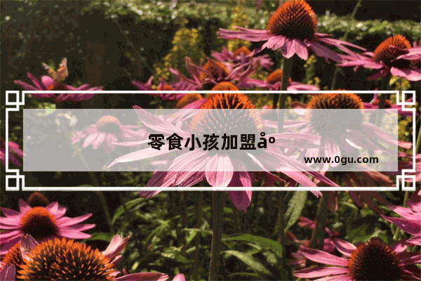 零食小孩加盟店排行榜大全