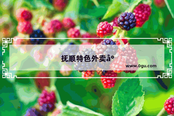 抚顺特色外卖小吃加盟店 带你品尝抚顺美味！