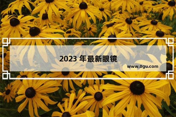 2023 年最新眼镜店加盟店排行榜