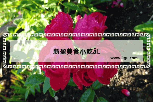 新盈美食小吃加盟 开启你的创业梦想之旅