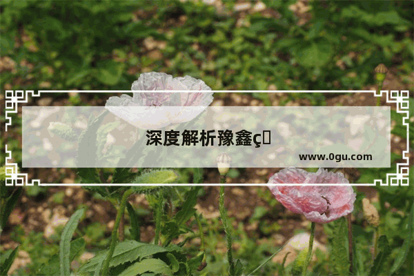 深度解析豫鑫物流加盟 是致富机遇还是投资陷阱？