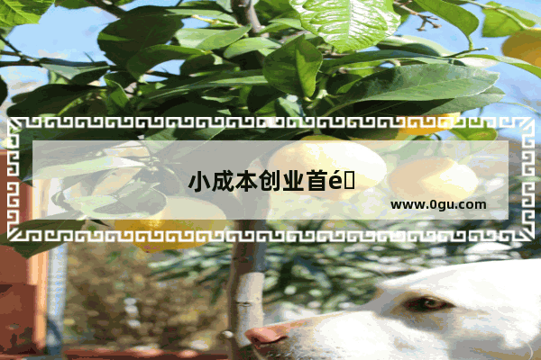小成本创业首选 一元小吃炸串加盟