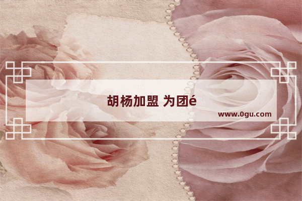 胡杨加盟 为团队注入新活力