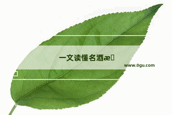 一文读懂名酒招商加盟！