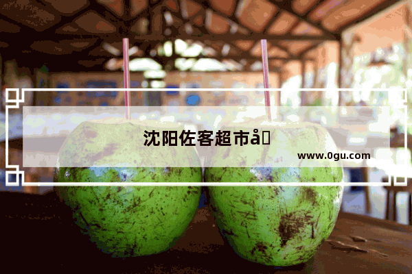 沈阳佐客超市加盟 开启创业梦想的新起点
