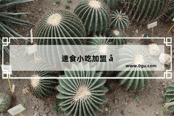 速食小吃加盟 开启创业梦想的新起点！