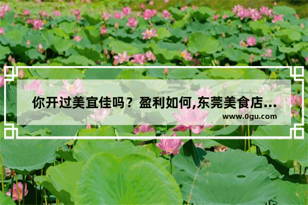 你开过美宜佳吗？盈利如何,东莞美食店加盟排行榜前十