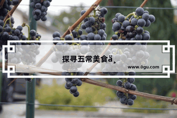探寻五常美食串串加盟店的美味秘密