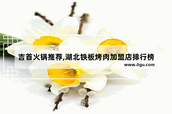 吉首火锅推荐,湖北铁板烤肉加盟店排行榜