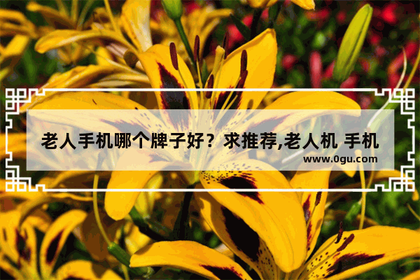老人手机哪个牌子好？求推荐,老人机 手机