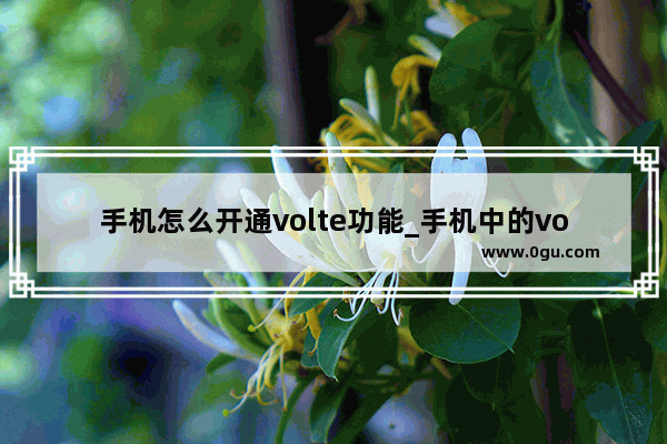 手机怎么开通volte功能_手机中的volte怎么找