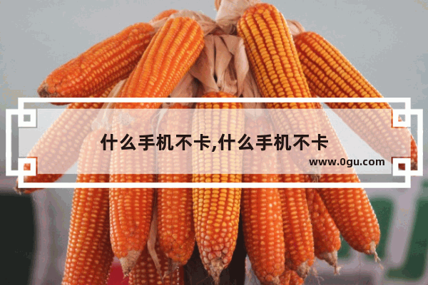 什么手机不卡,什么手机不卡