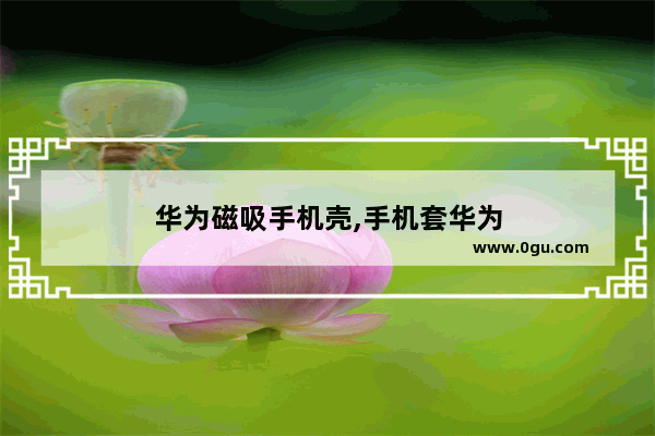 华为磁吸手机壳,手机套华为
