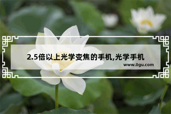 2.5倍以上光学变焦的手机,光学手机