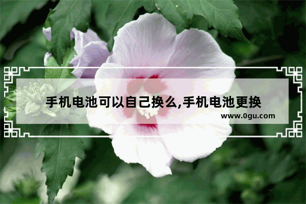 手机电池可以自己换么,手机电池更换