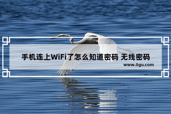手机连上WiFi了怎么知道密码 无线密码手机