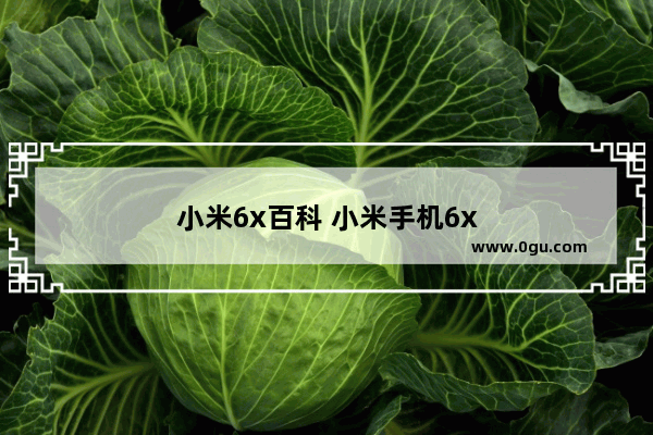 小米6x百科 小米手机6x