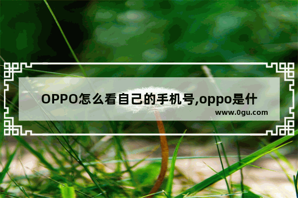 OPPO怎么看自己的手机号,oppo是什么手机