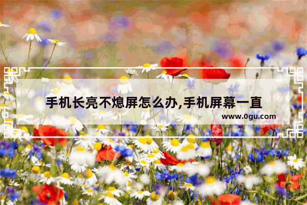 手机长亮不熄屏怎么办,手机屏幕一直