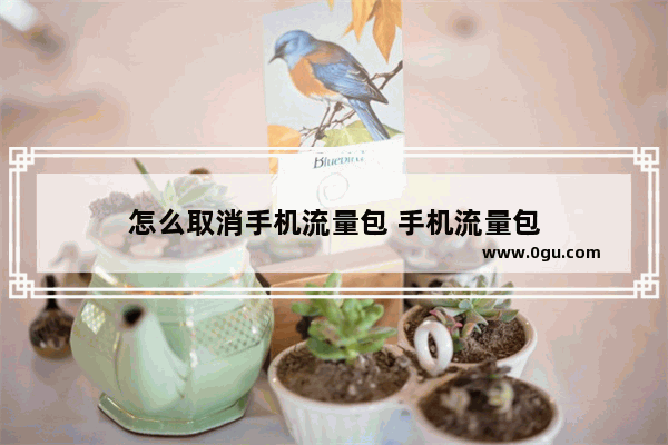 怎么取消手机流量包 手机流量包