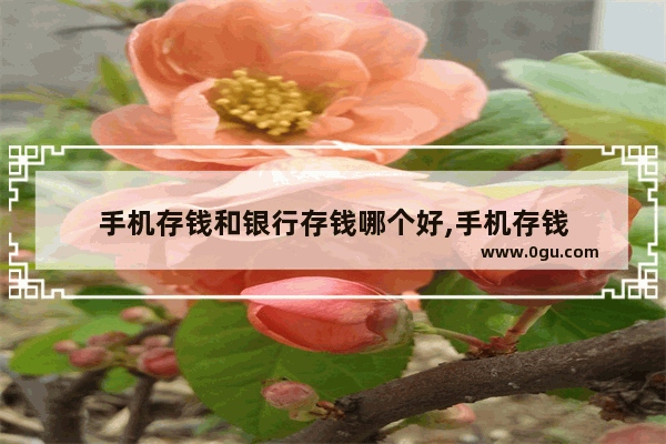 手机存钱和银行存钱哪个好,手机存钱