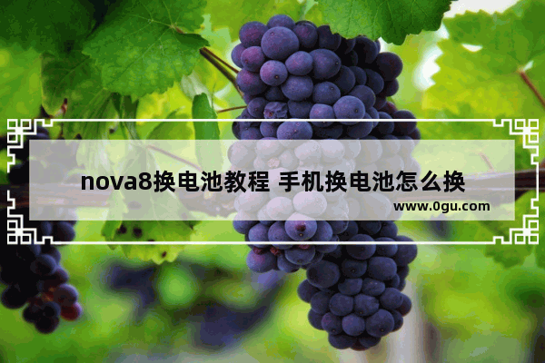 nova8换电池教程 手机换电池怎么换