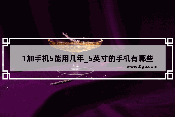 1加手机5能用几年_5英寸的手机有哪些