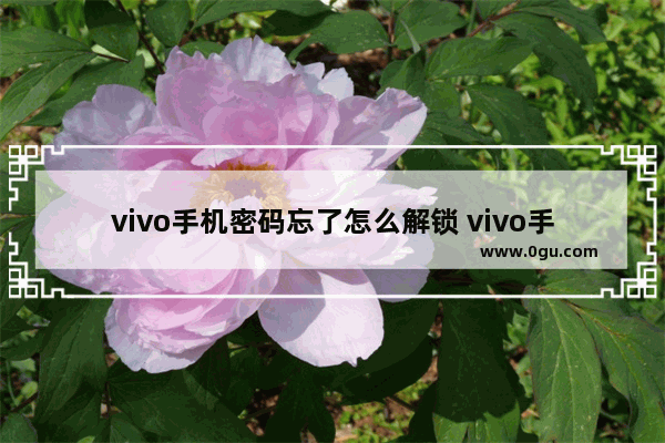 vivo手机密码忘了怎么解锁 vivo手机解锁