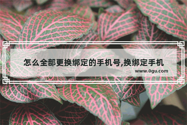 怎么全部更换绑定的手机号,换绑定手机
