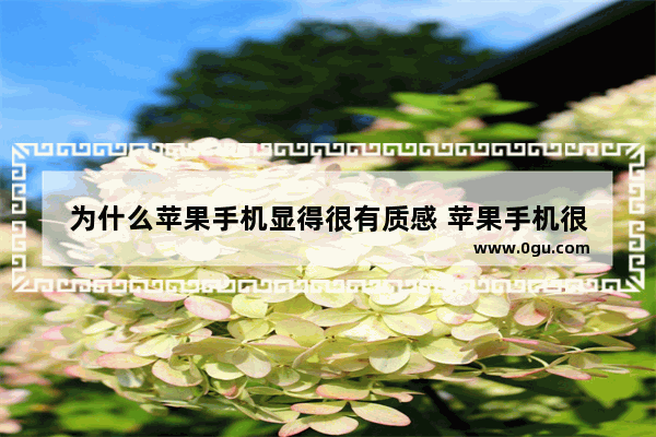 为什么苹果手机显得很有质感 苹果手机很