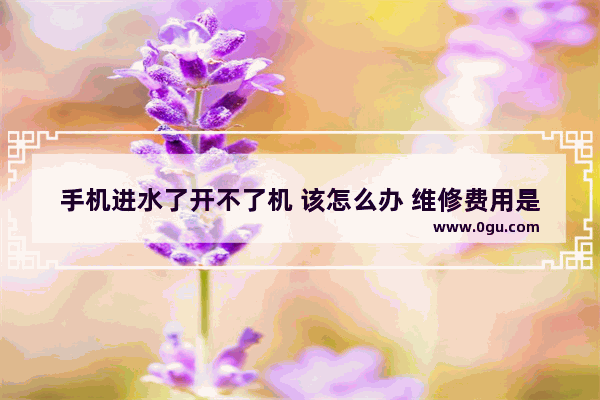 手机进水了开不了机 该怎么办 维修费用是多少_手机进水了 开机开不了机只显示开机图标 这是什么原因