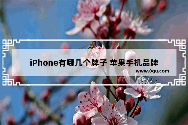 iPhone有哪几个牌子 苹果手机品牌