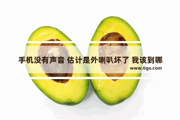 手机没有声音 估计是外喇叭坏了 我该到哪儿去维修,附近修手机