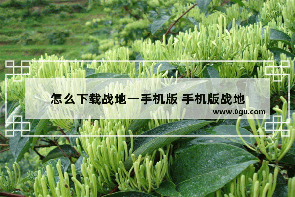 怎么下载战地一手机版 手机版战地
