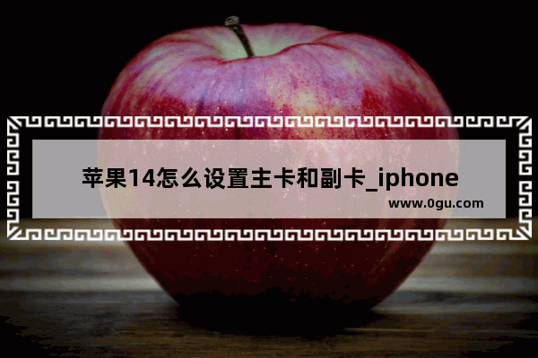苹果14怎么设置主卡和副卡_iphone 摄像头参数怎么调节