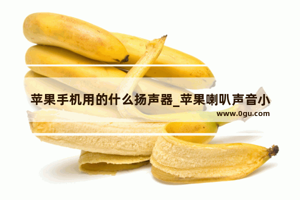 苹果手机用的什么扬声器_苹果喇叭声音小