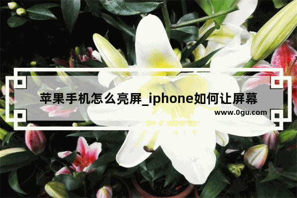 苹果手机怎么亮屏_iphone如何让屏幕保持亮屏