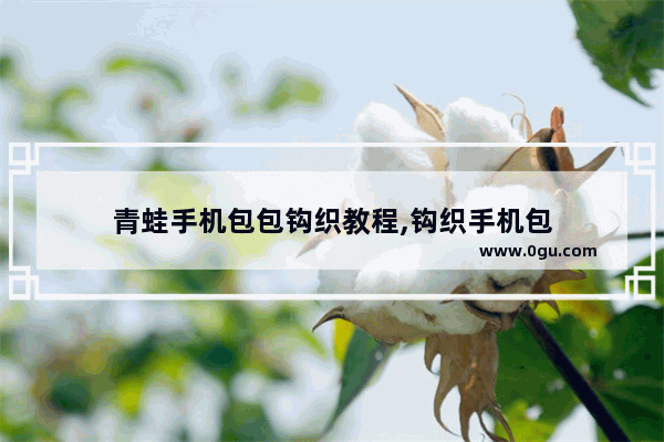 青蛙手机包包钩织教程,钩织手机包