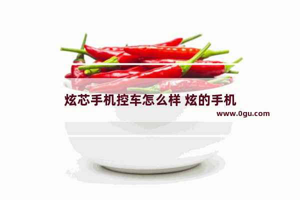 炫芯手机控车怎么样 炫的手机