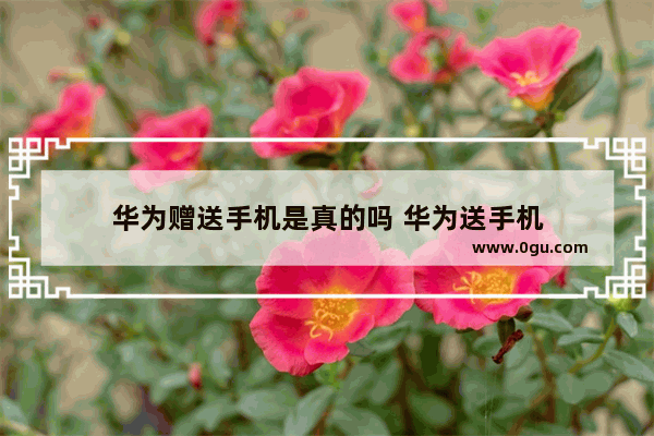 华为赠送手机是真的吗 华为送手机