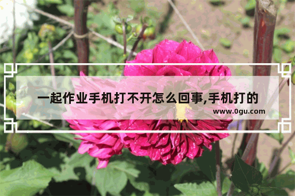 一起作业手机打不开怎么回事,手机打的