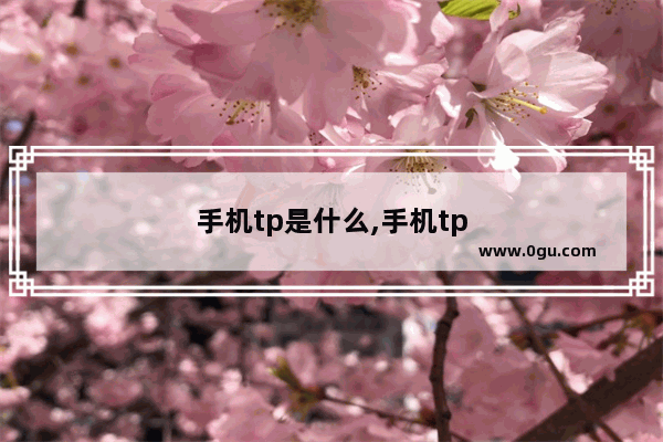 手机tp是什么,手机tp