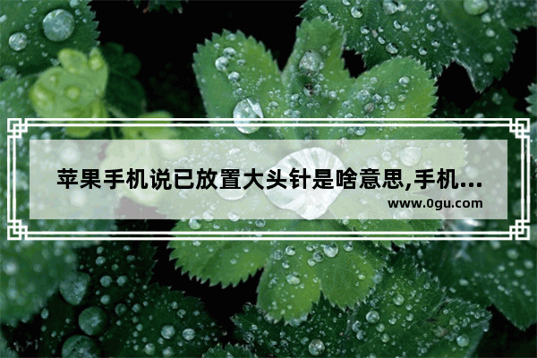 苹果手机说已放置大头针是啥意思,手机大头