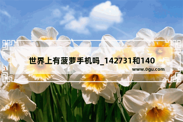 世界上有菠萝手机吗_142731和140826哪里的身份证
