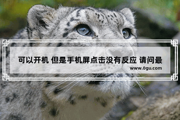 可以开机 但是手机屏点击没有反应 请问最有可能是哪里坏了,手机屏幕不灵