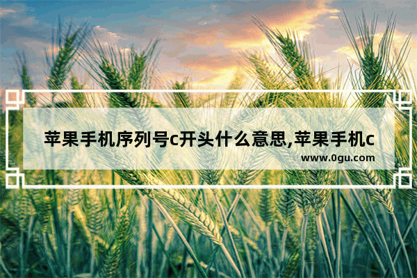 苹果手机序列号c开头什么意思,苹果手机c